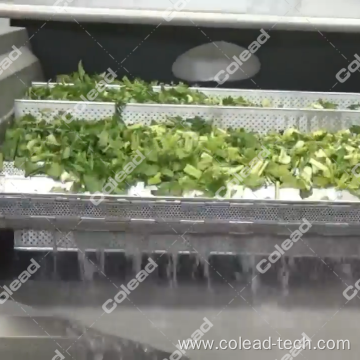 French Fries Blanching Machine to make potato chips